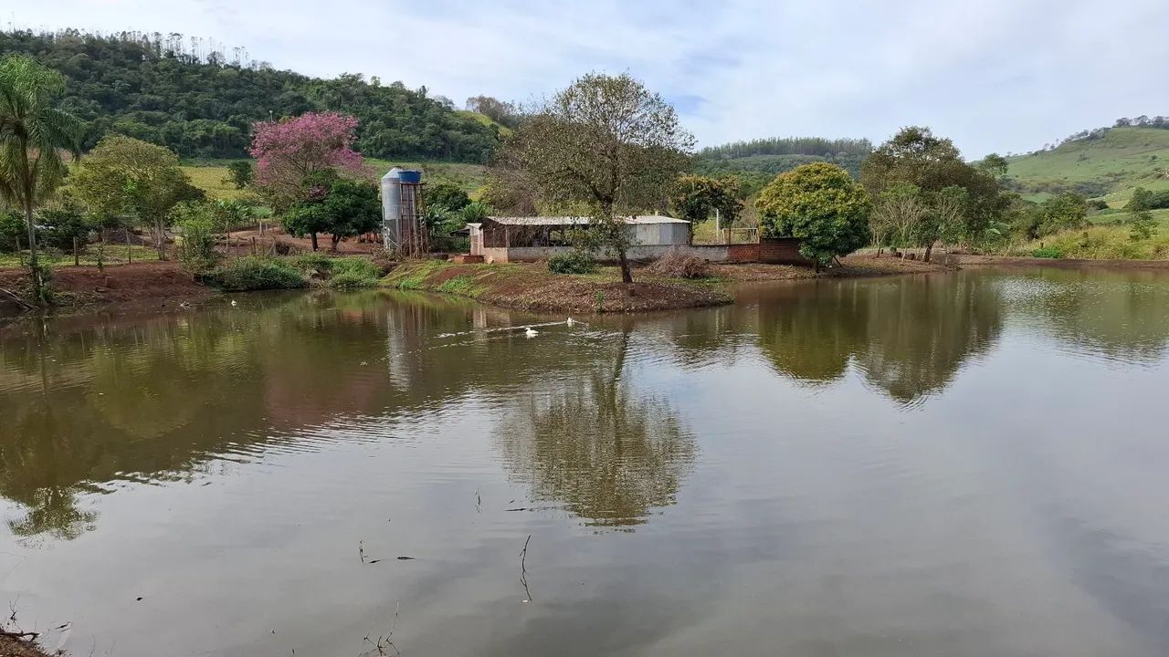 Sítio  próximo a Campo Mourão. - Foto 3