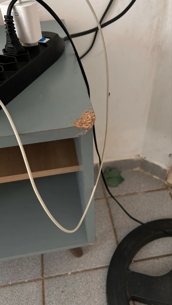 VENDO RACK PEQUENO COM PEQUENAS AVARIAS - Foto 3