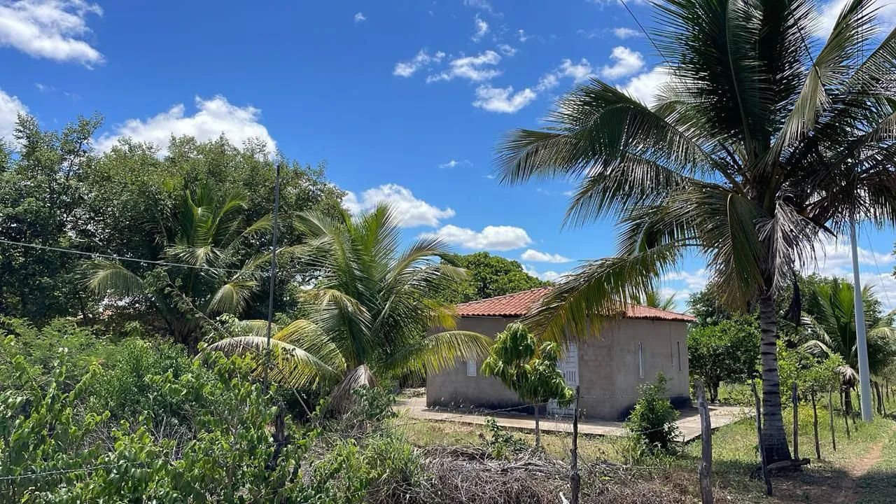 Ribeira do pombal  - Foto 3