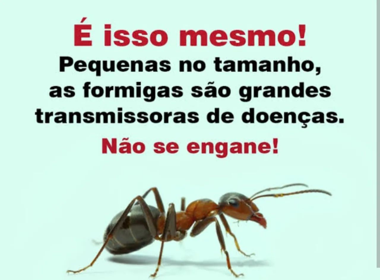 DEDETIZAÇÃO PROFISSIONAL  - Foto 4