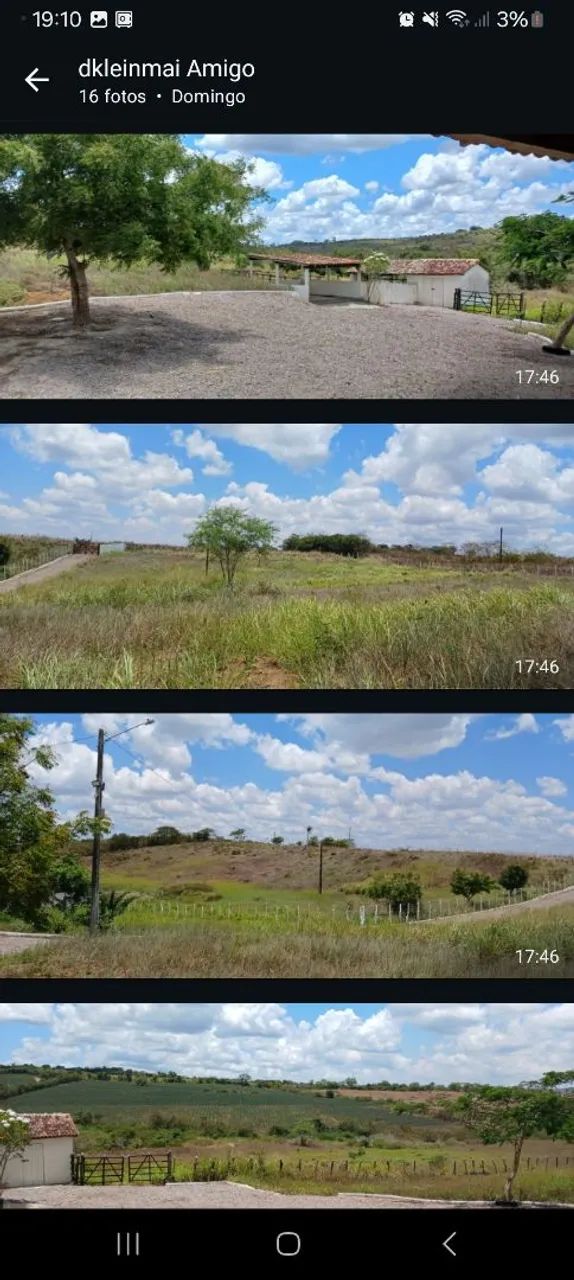 Vaqueiro  - Foto 4