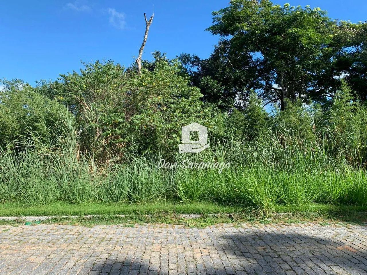 Terreno Marica - Foto 2