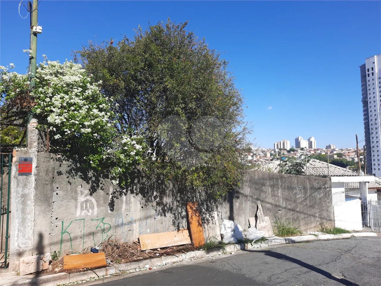 Terreno à venda em Vila palmeiras - SP - Foto 3