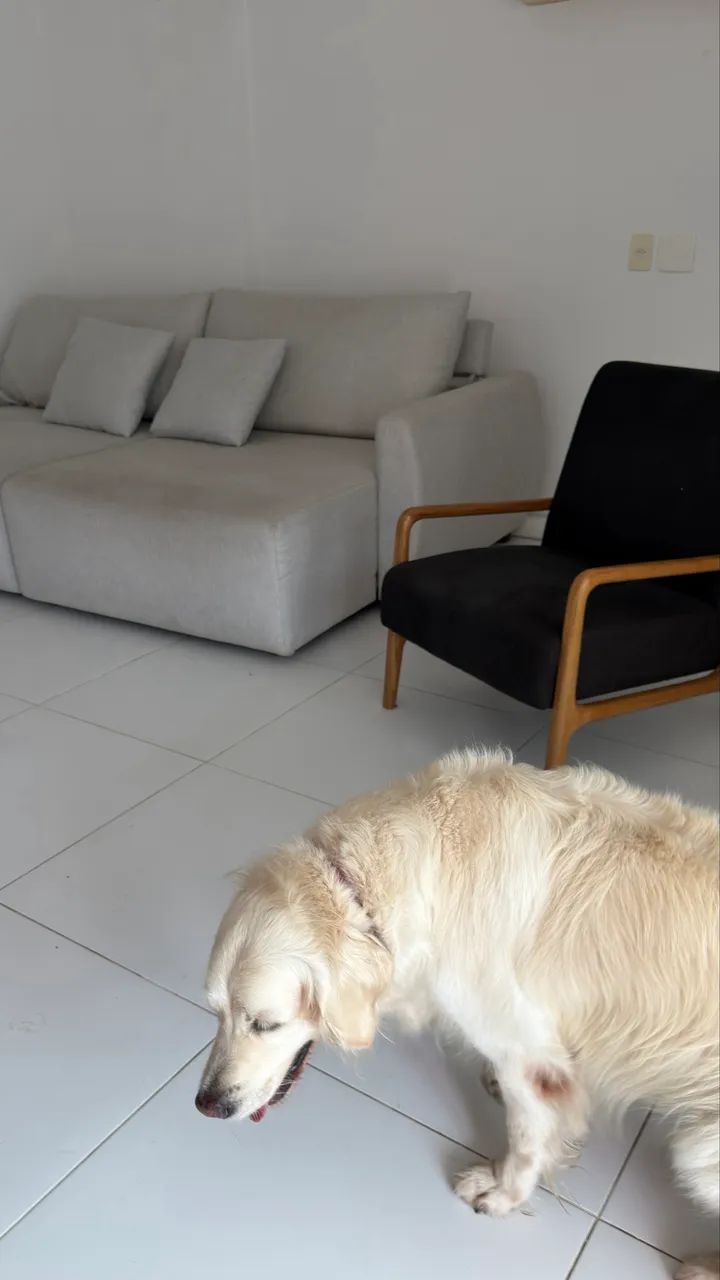 Poltrona Zara Home  - Foto 5