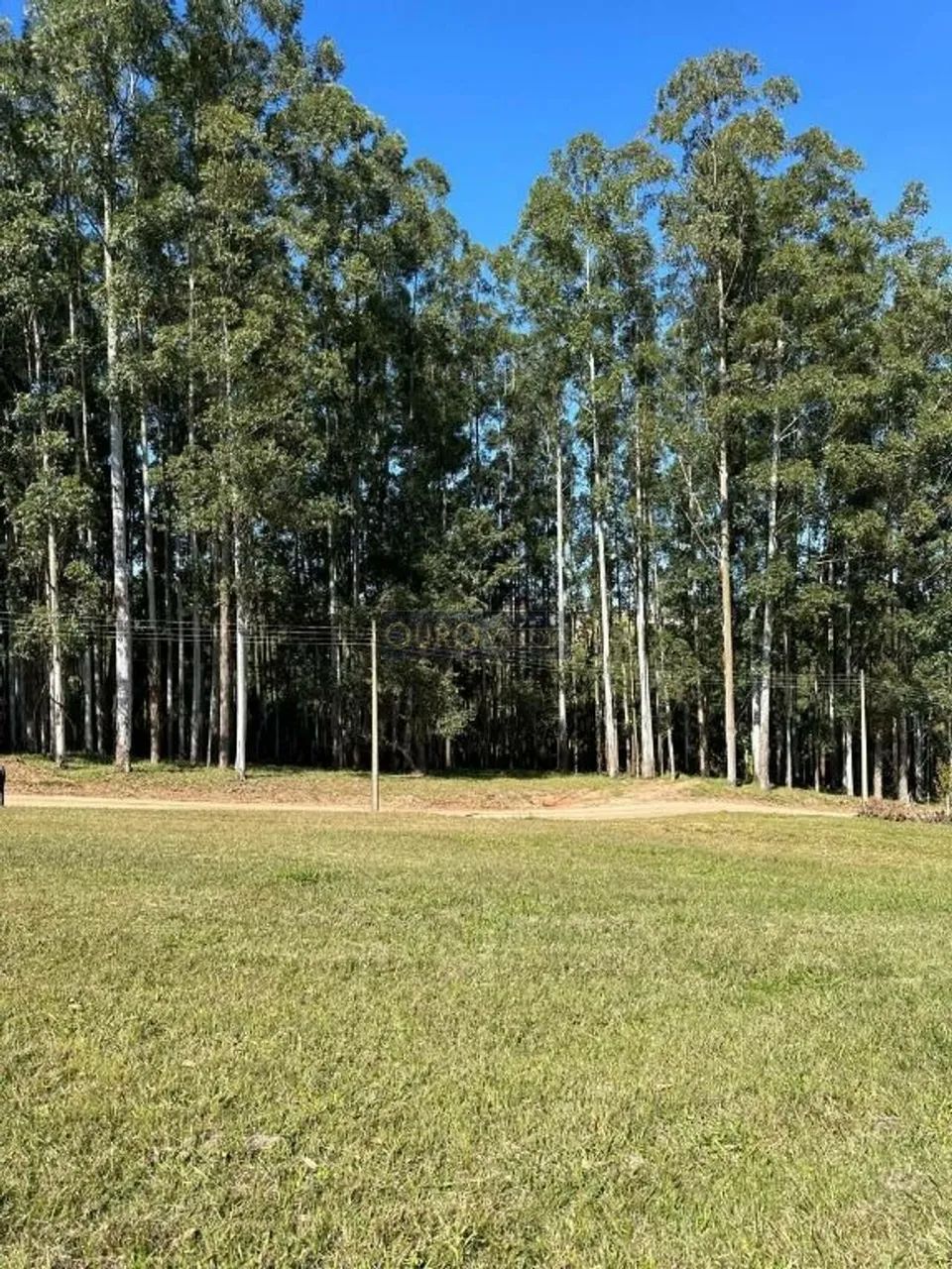 Terreno em Condomínio Ninho Verde - Foto 5