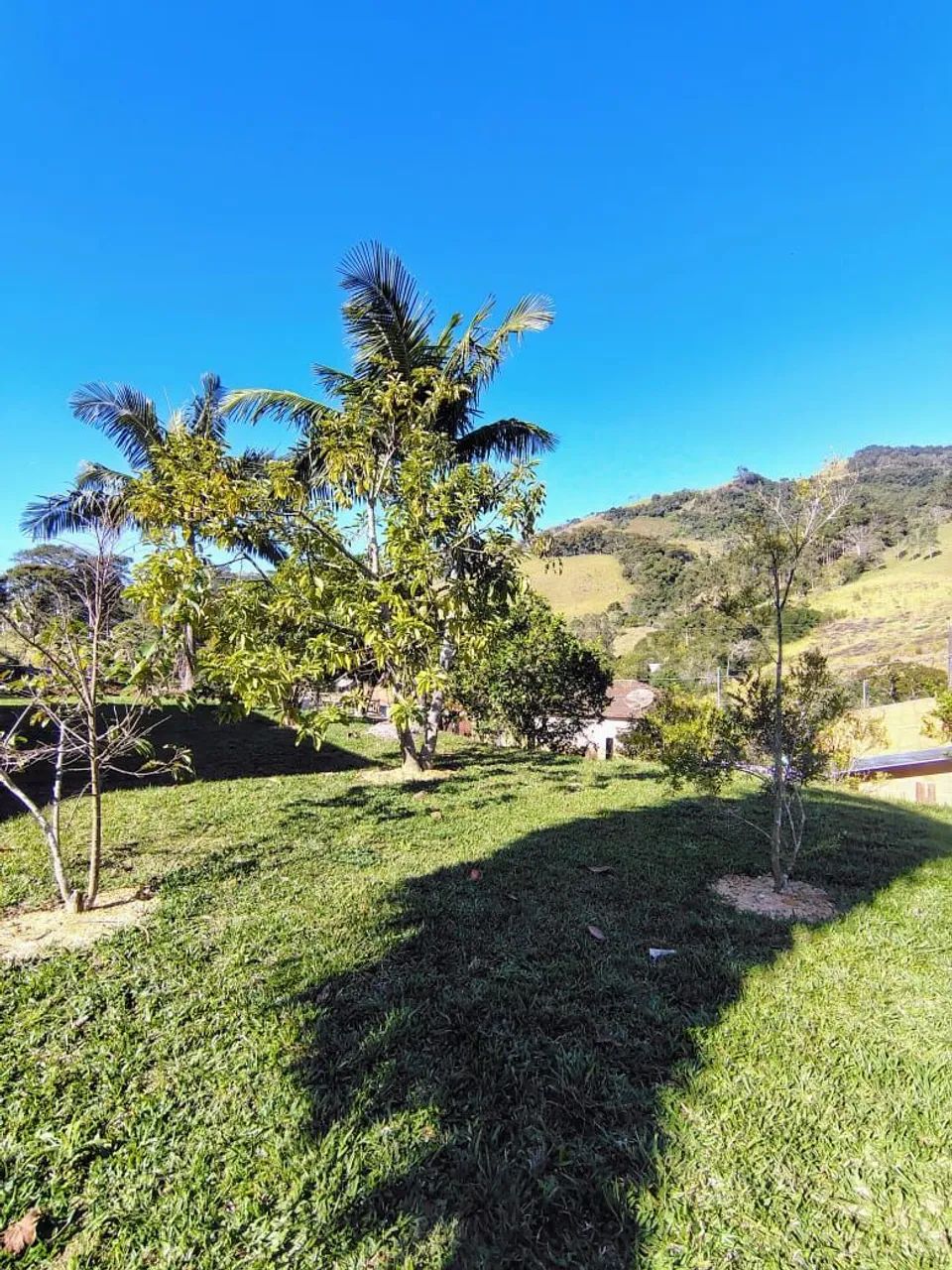 Chácara 700m² Delfim Moreira-Mg  - Foto 4