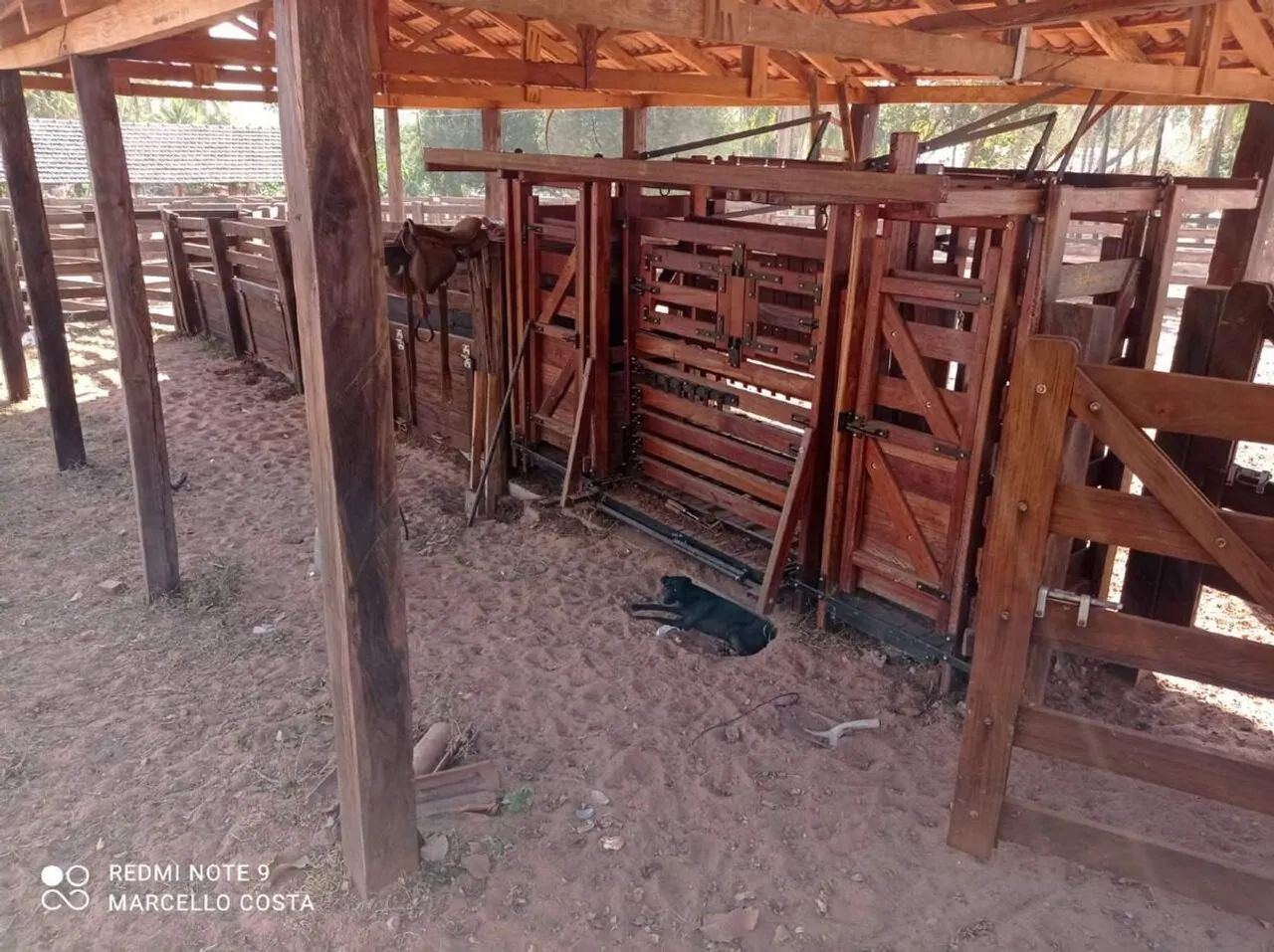 Imóvel rural no Setor Central em Baliza - Foto 4