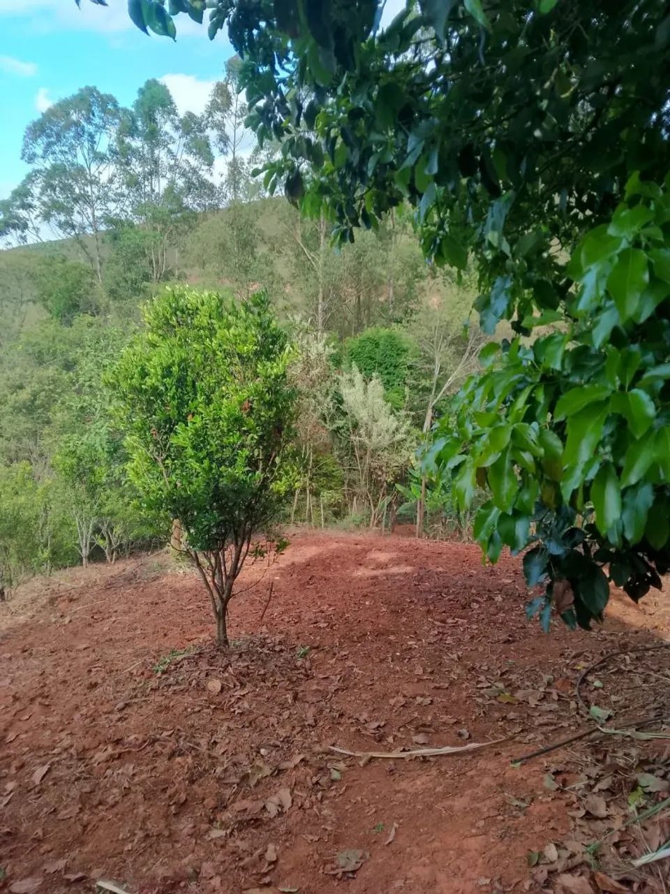 Foto - Bonfim - 