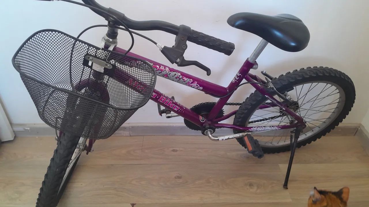 Bicicleta  - Foto 3