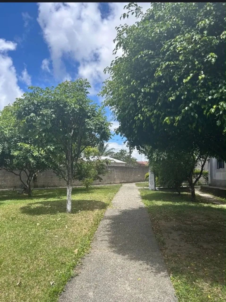 Apartamento/Jardim Petrópolis  - Foto 4