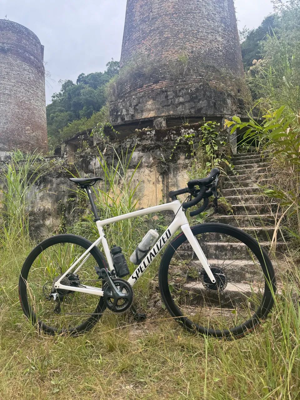 Specialized SL6 Disc tamanho 56