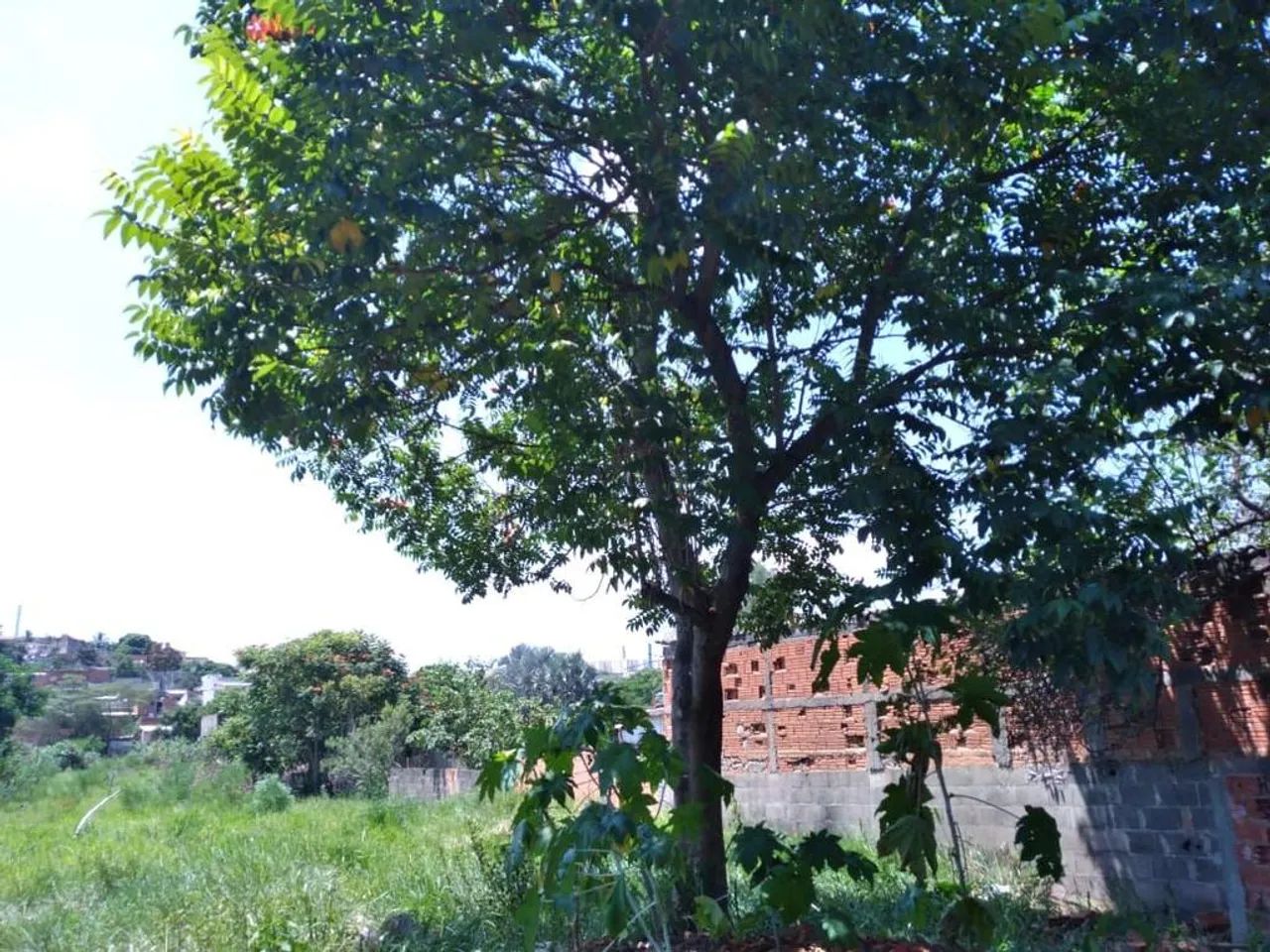Terreno à venda em Campinas, Jardim Florence - Foto 3