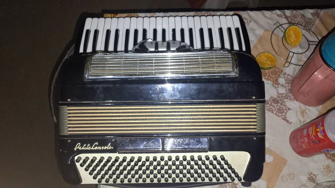 Acordeon Loduca 120 baixos
