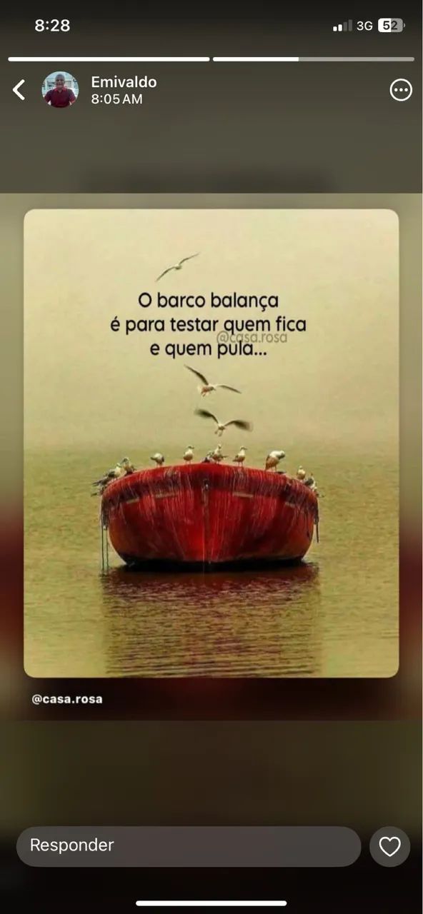 Orientações acadêmicas 