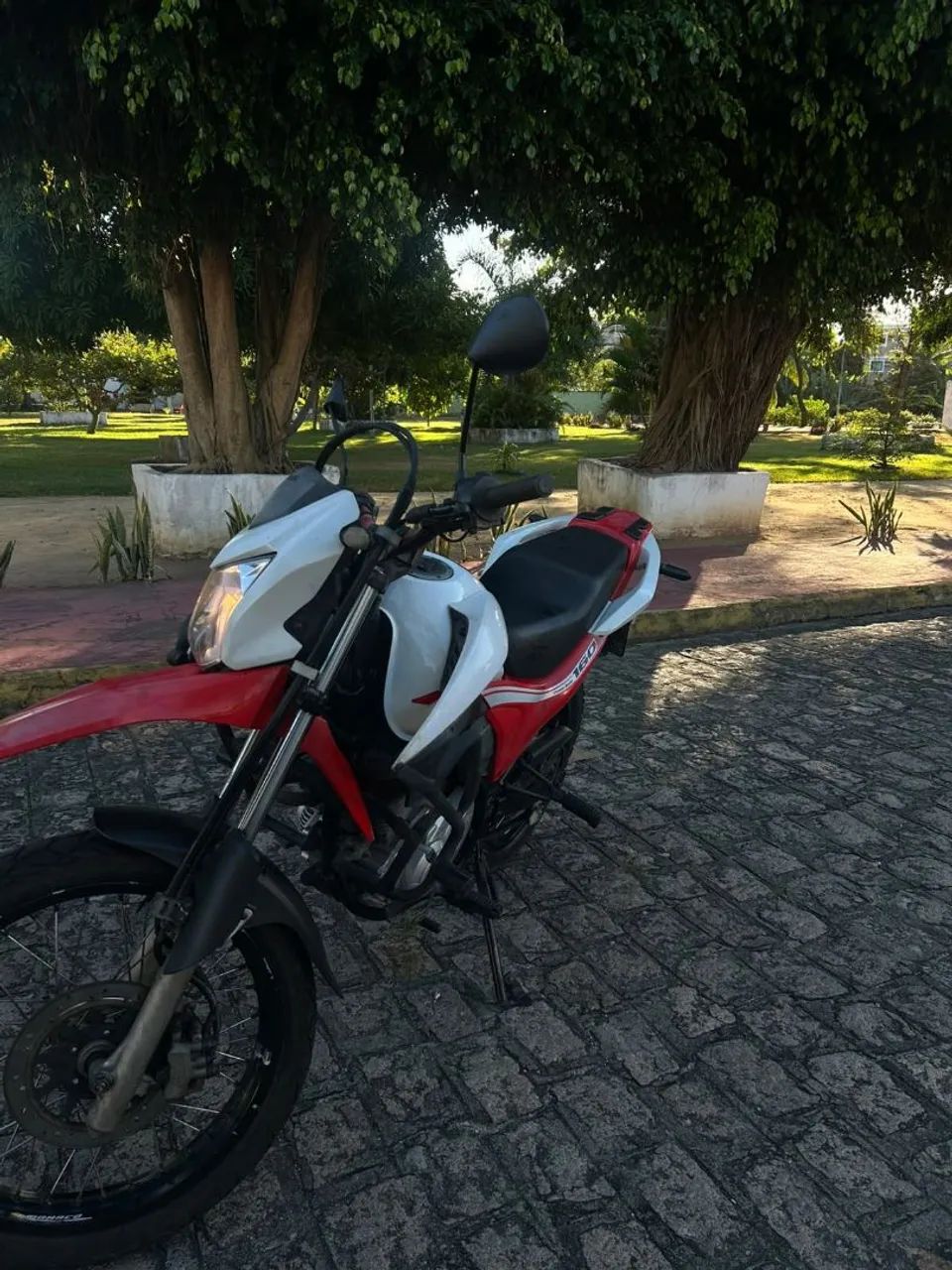 Bross 160 2019 - Foto 3