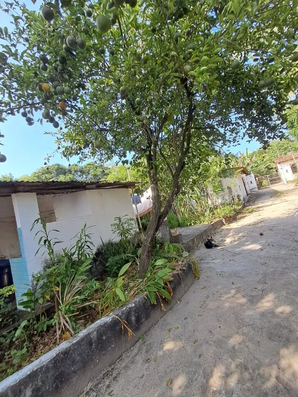 SÍTIO À VENDA EM SÃO LUÍS - 1.925 M² - Foto 2