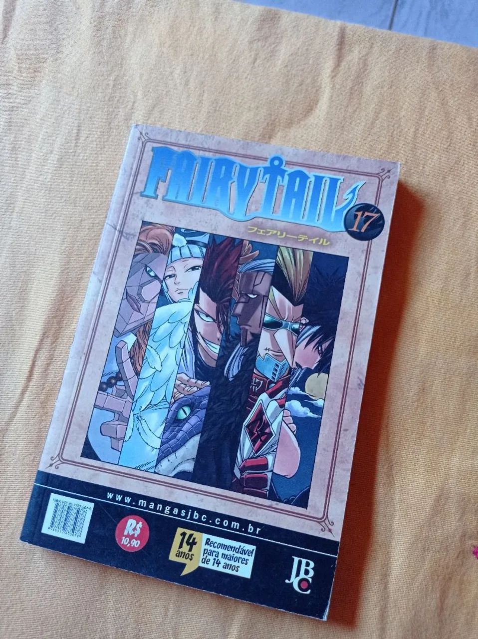 Fairy tail volume 17
