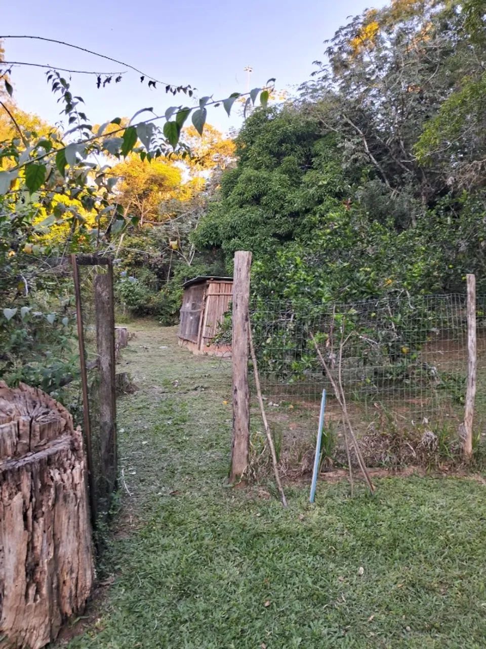 Sítio em Vassouras - Foto 5