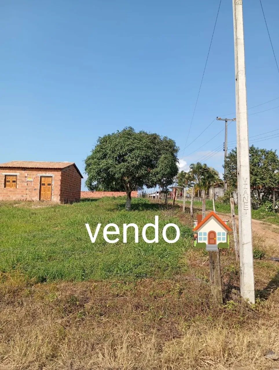 Vendo terreno no povoado Curralinho  - Foto 2