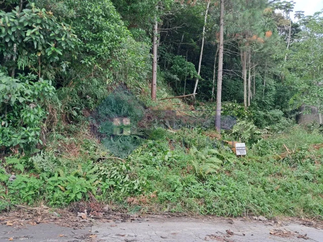 Terreno para venda, Potecas, São José