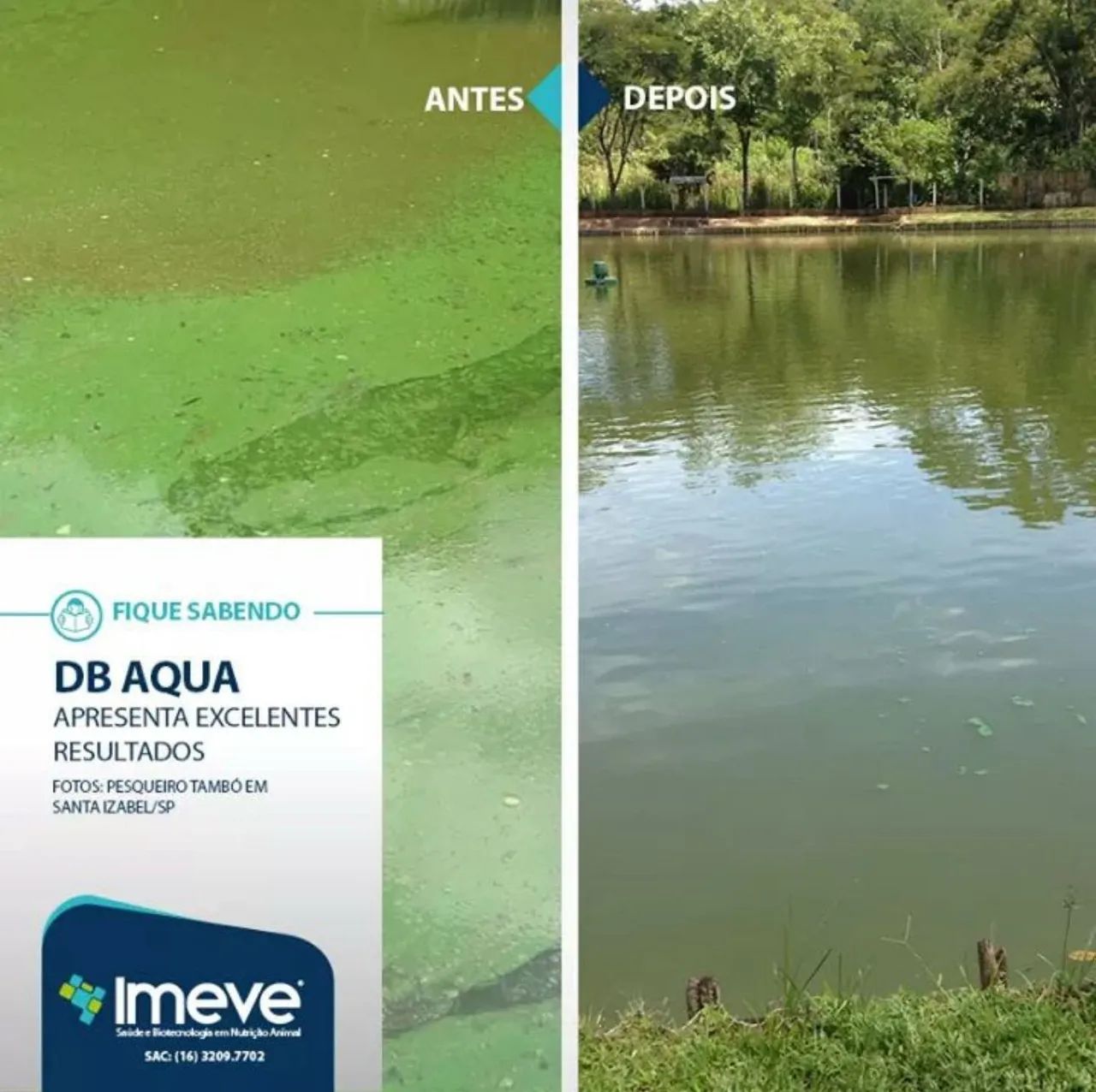 Probiotico DBAQUA  - Foto 3