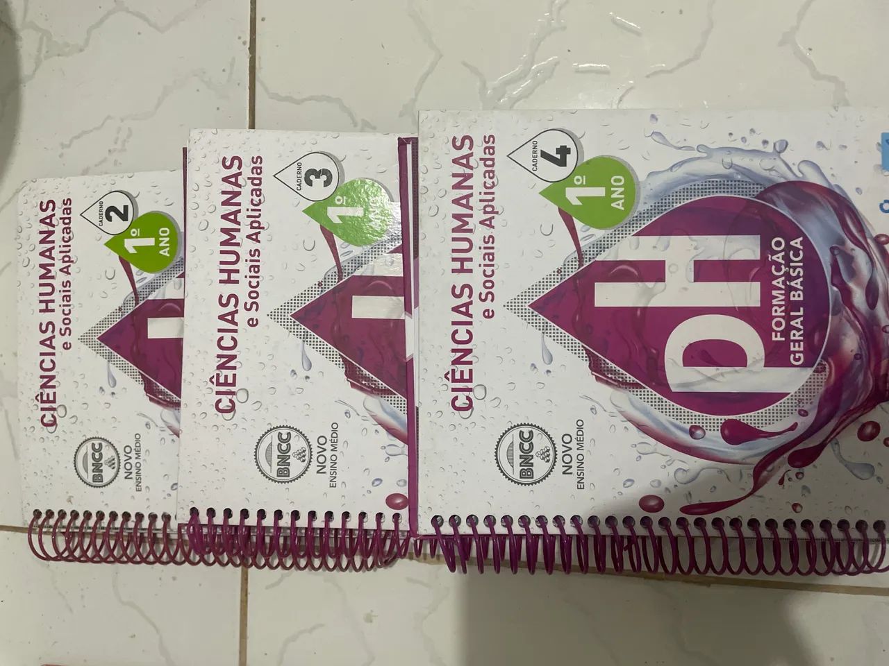 Livros PH 65690771800579122