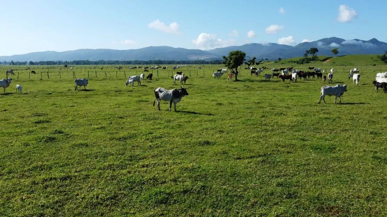 Área á venda -  Timbé - Tijucas - SC