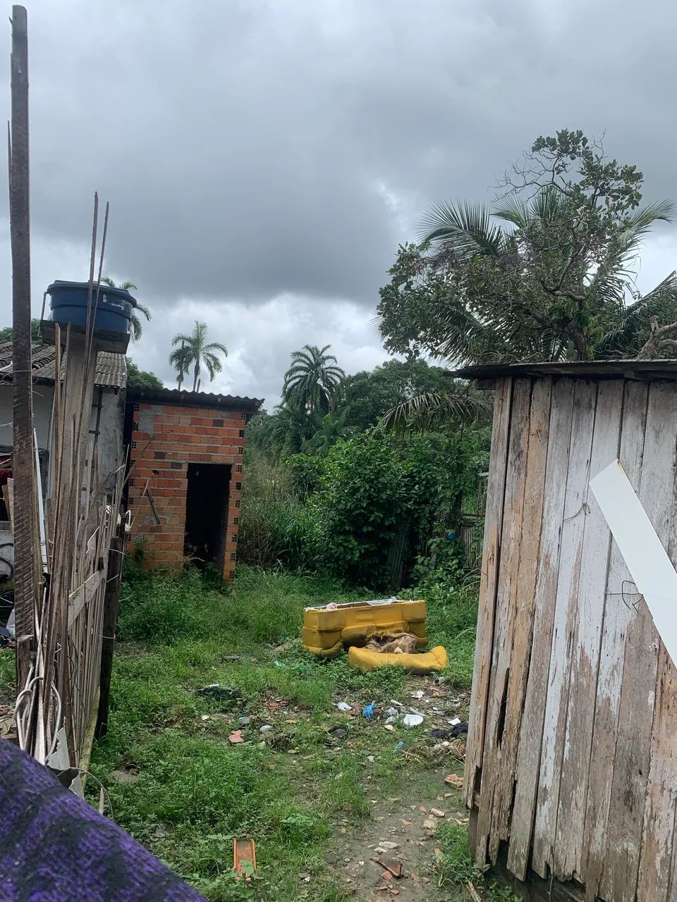 Foto - Ananindeua - Icuí-Guajará