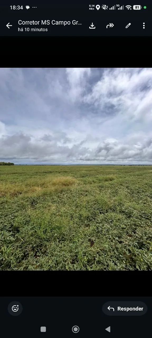 Fazenda de arrendamento 1.000 nova alvorada do sul MS. - Foto 5