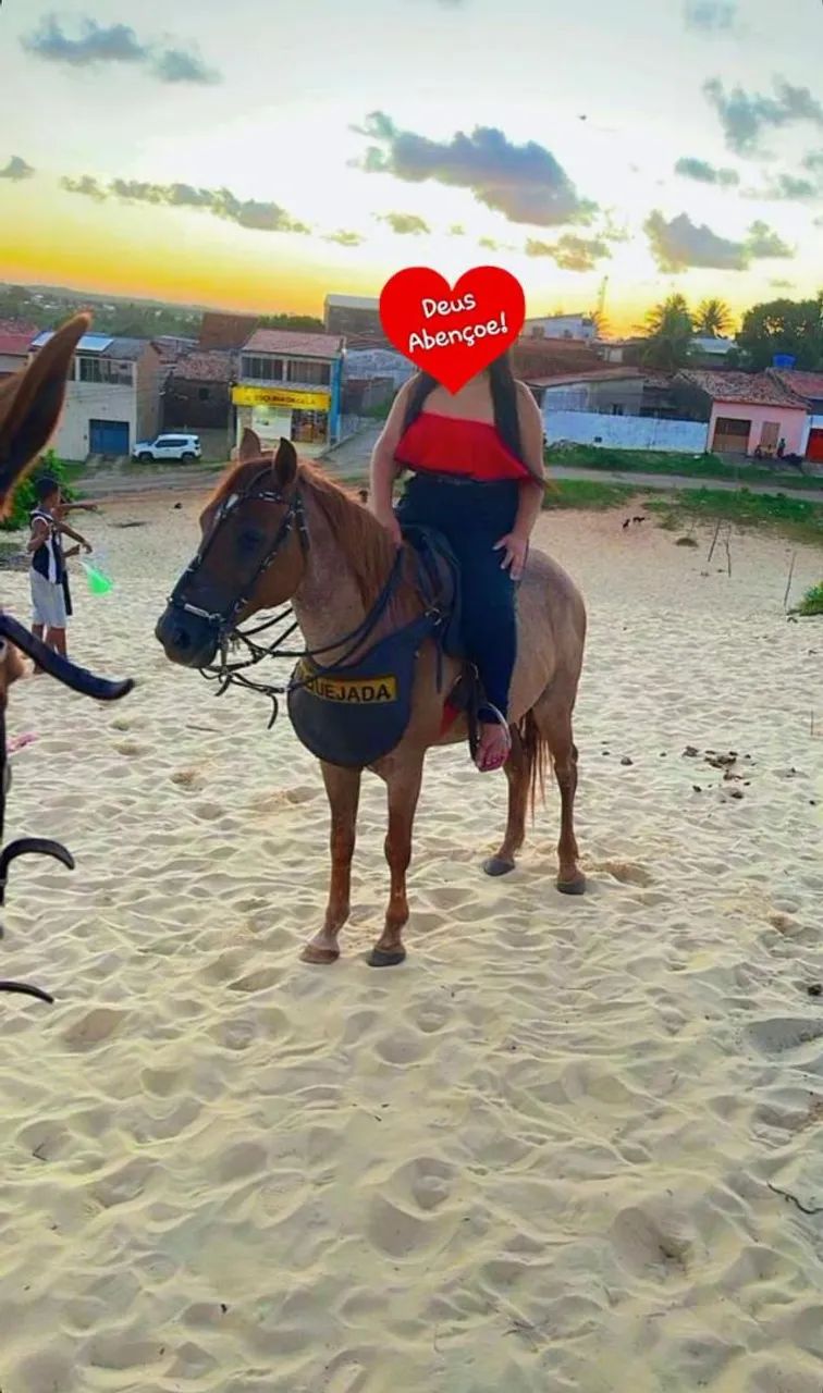Cavalo de direita  - Foto 2