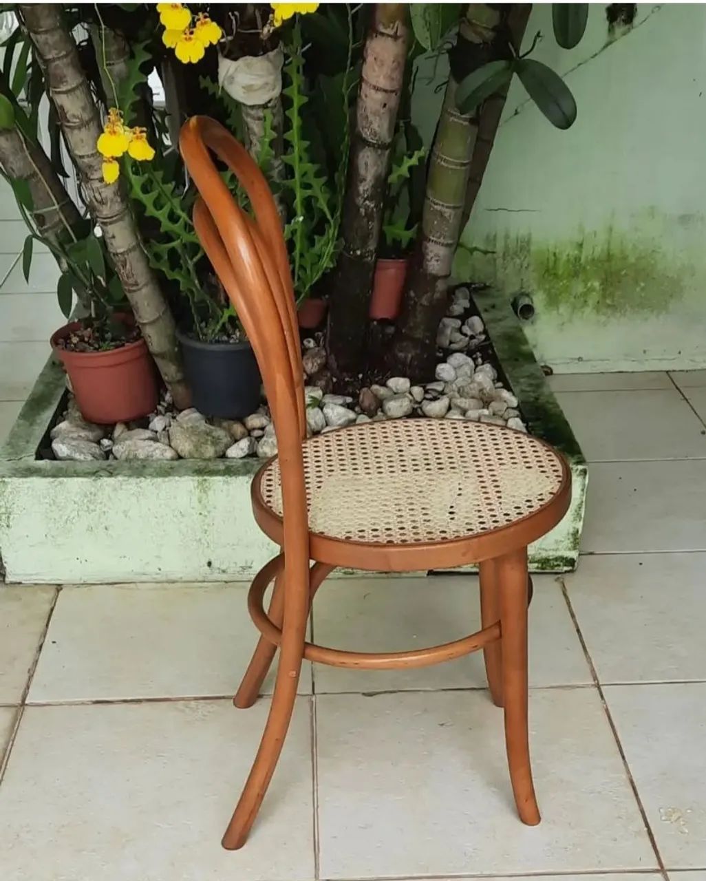 Rara e Bela Cadeira Thonet - Foto 2