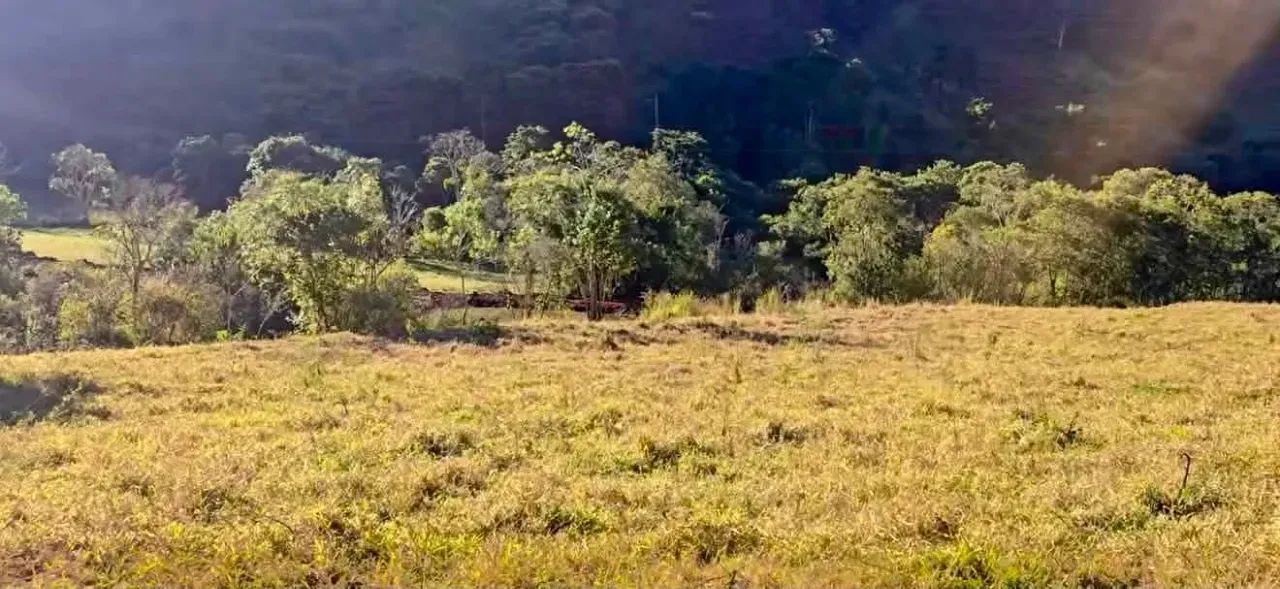 Terreno Nasente da Vida