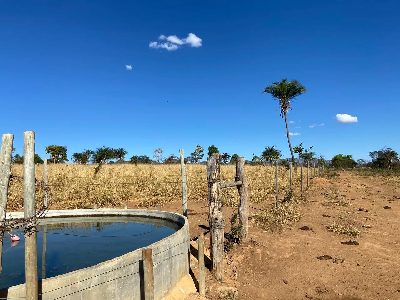 Fazenda à venda em Grão Mogol - MG<br>>  - Foto 2