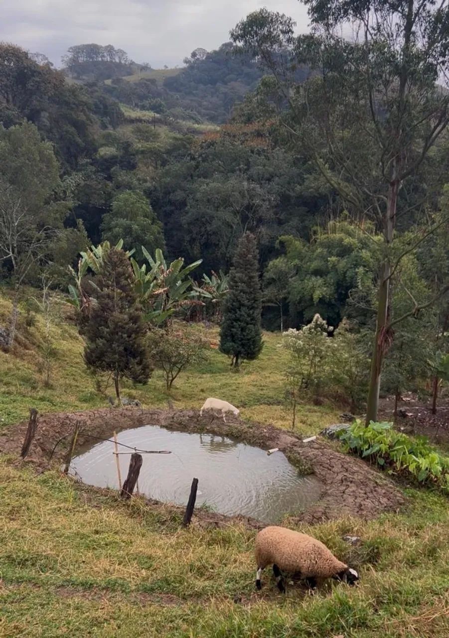Chácara no sul de Minas  - Foto 4