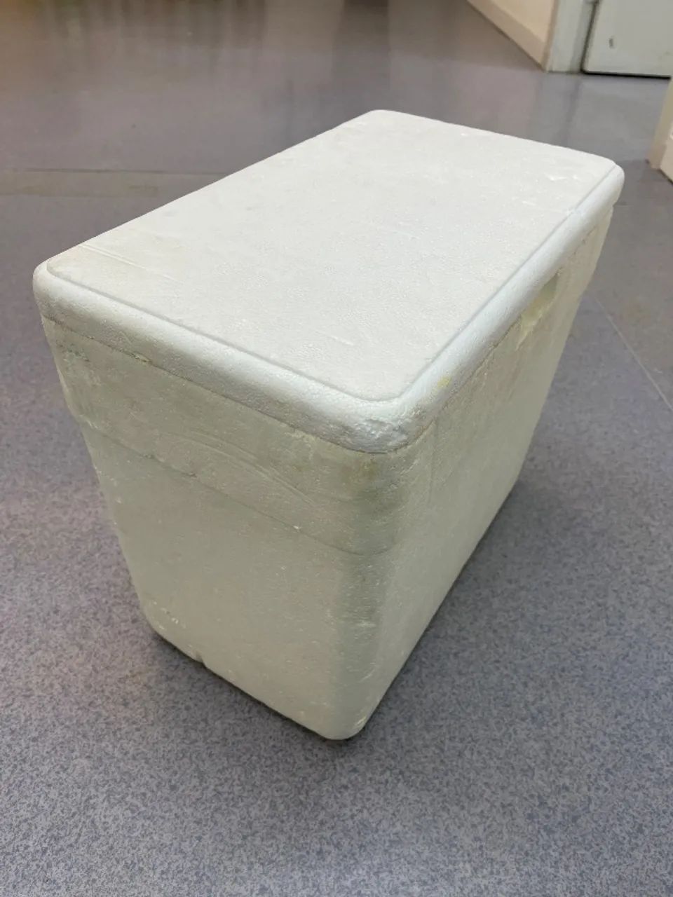 Caixa de isopor - Foto 2