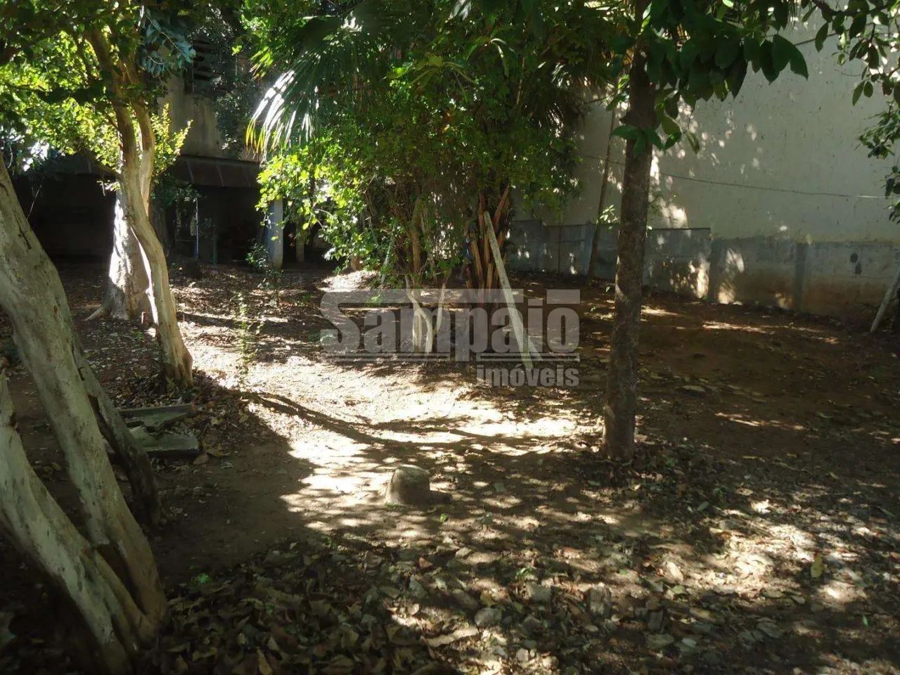 Campo Grande | Terreno - Foto 3
