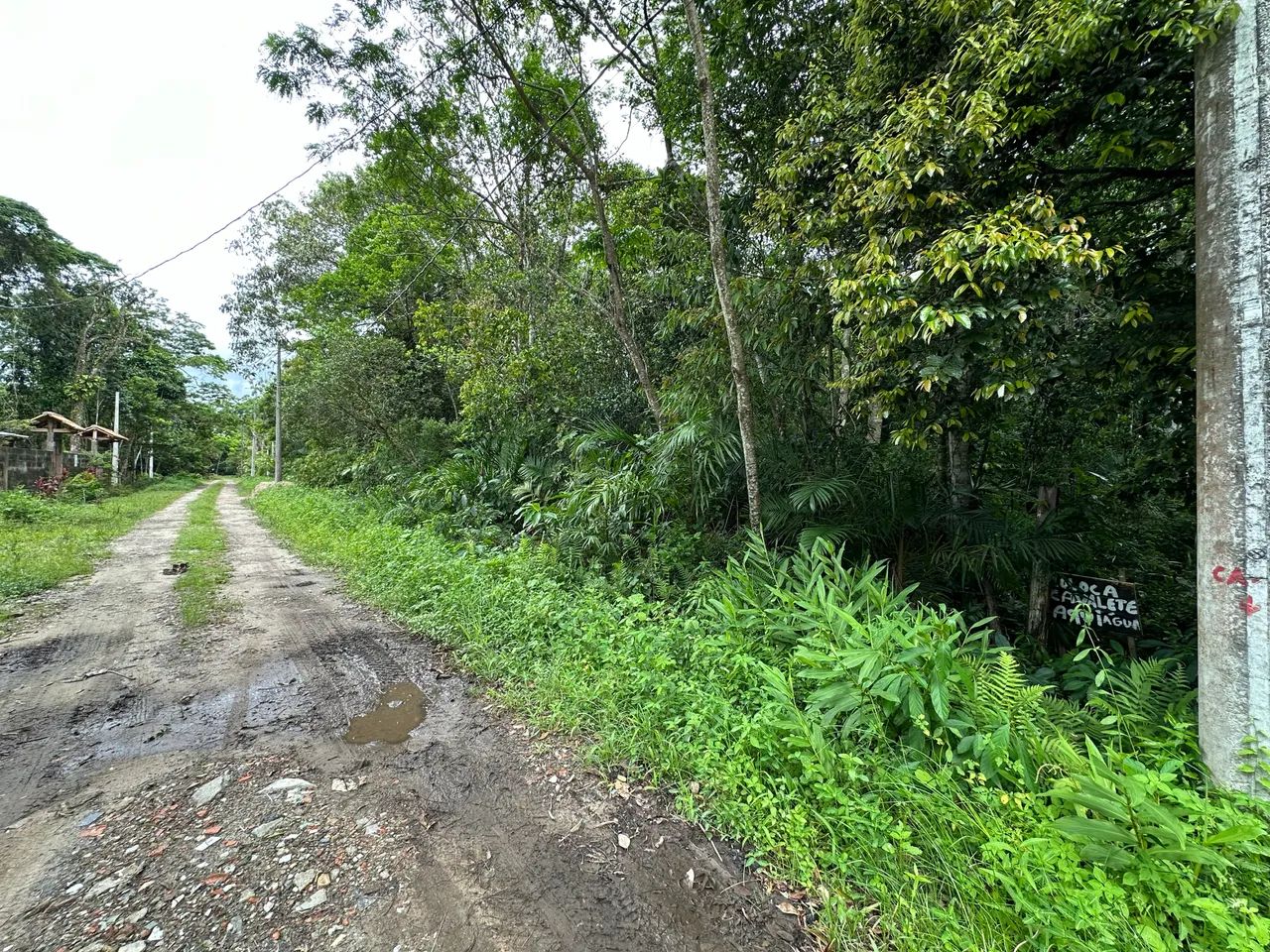 Terreno pra chácara  - Foto 3