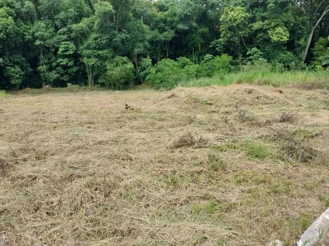 Terreno 950 m² - Foto 5