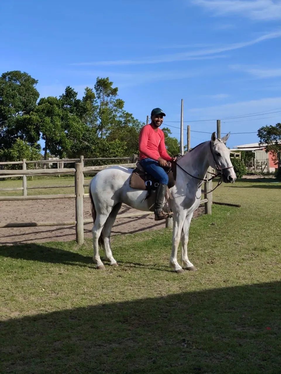 Égua mangalarga marchador registrada pampa - Foto 3