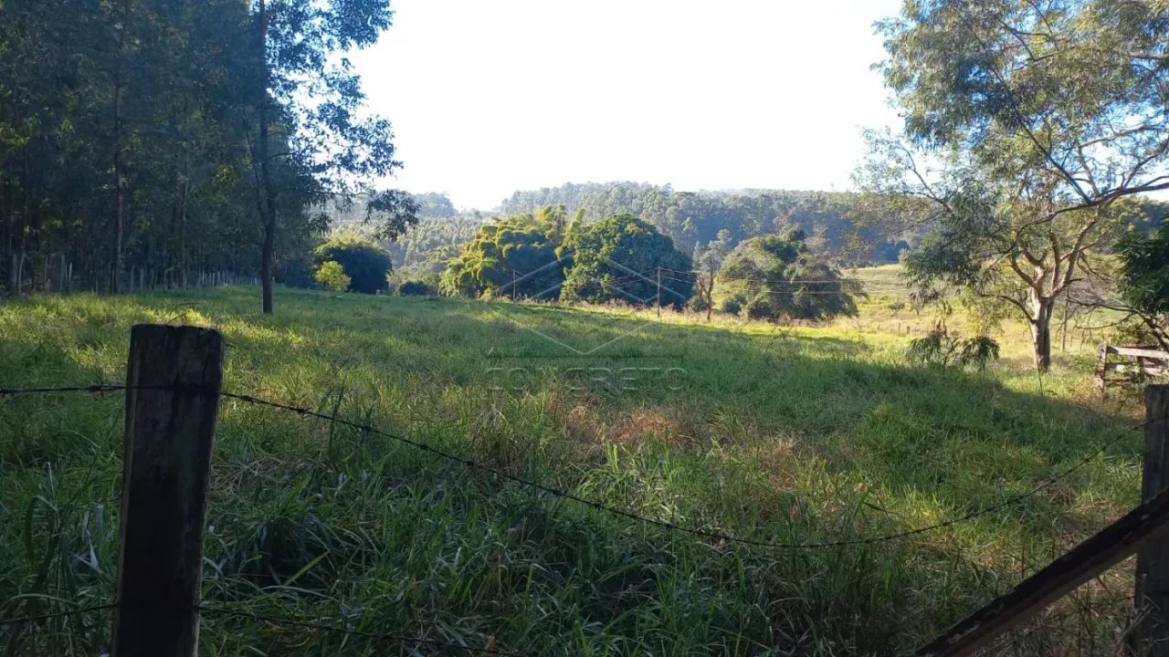 Sítio - SOL NASCENTE - PIRATININGA - Foto 4