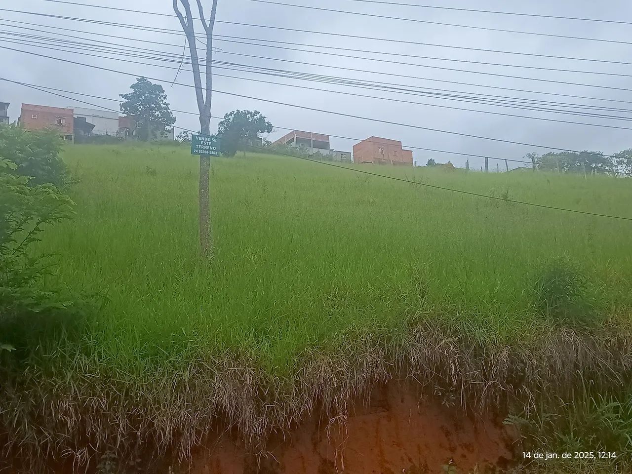 Vende-se excelente chácara  - Foto 3