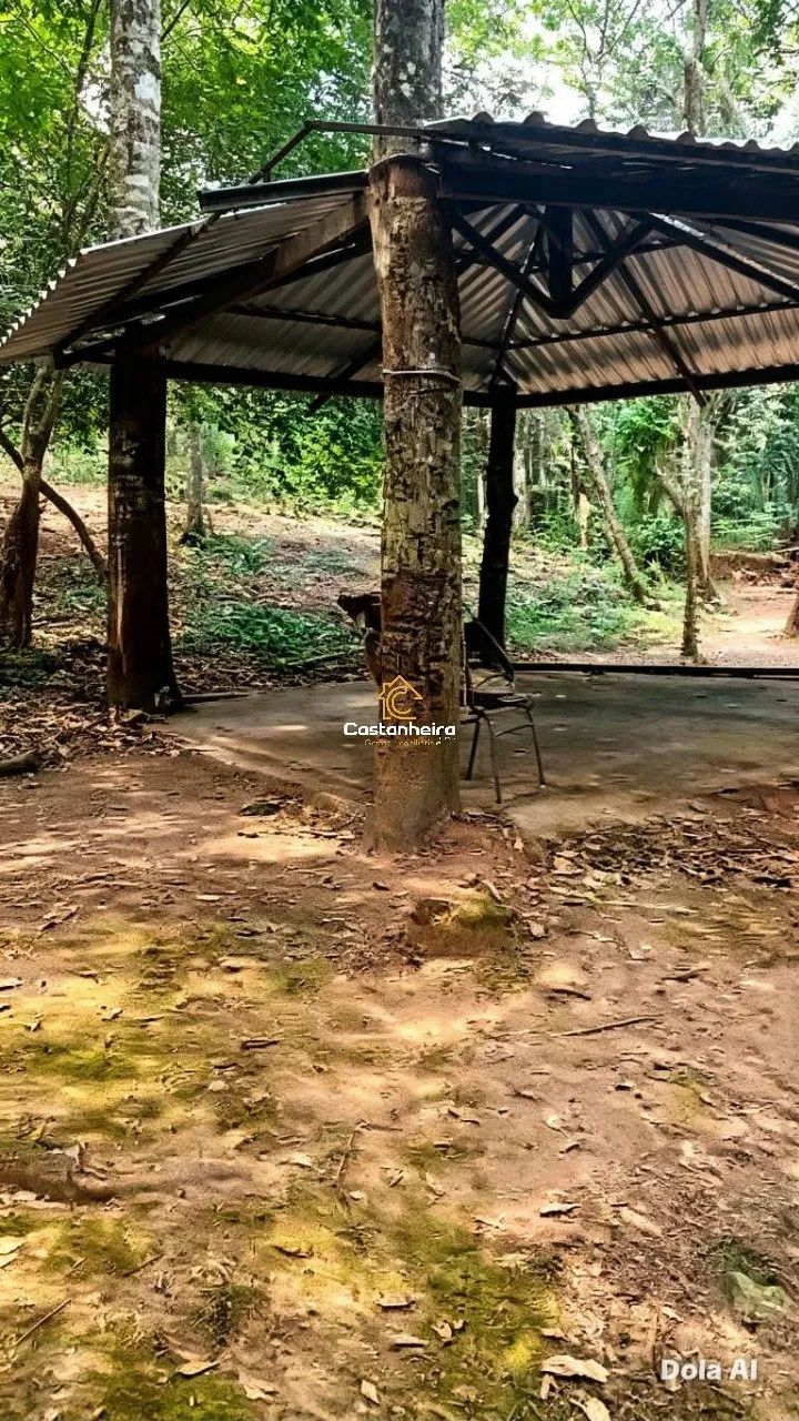Chácara | Sítio - Curso D'água - 5.000 m² - TO-010 - Foto 3