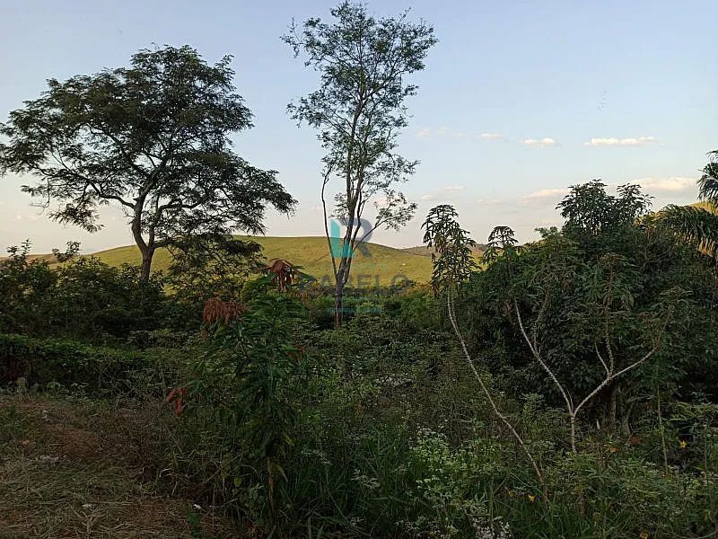CHÁCARA FORMADA DE FÁCIL ACESSO EM LORENA -SP - Foto 4