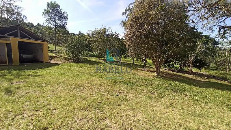 FAZENDA FORMADA PARA GADO DE CORTE E LEITE EM LORENA-SP - Foto 5