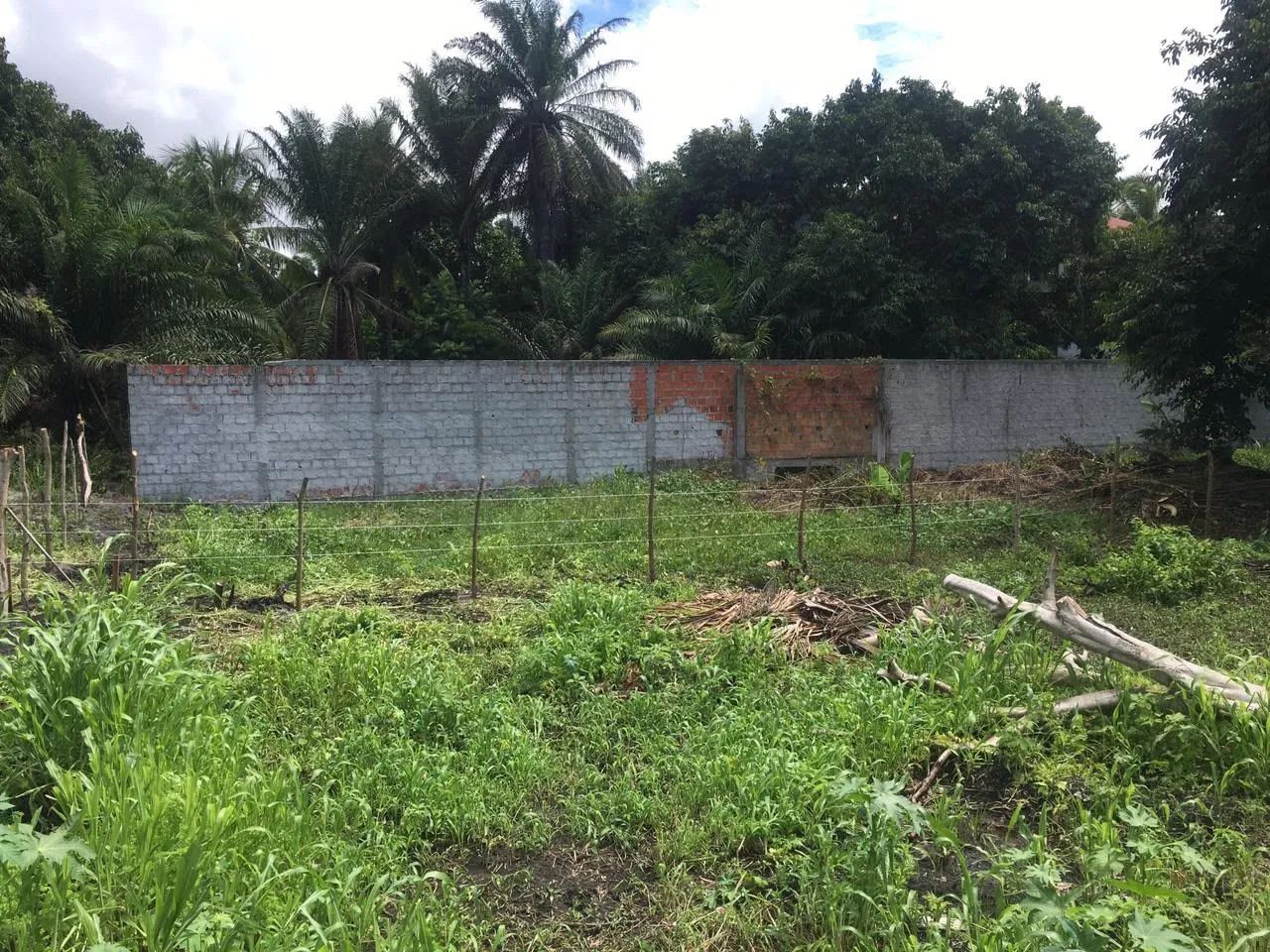 Foto - Salvador - Saboeiro