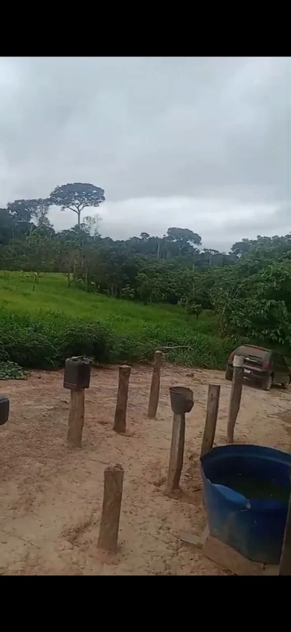 Vende se Terra - Foto 2