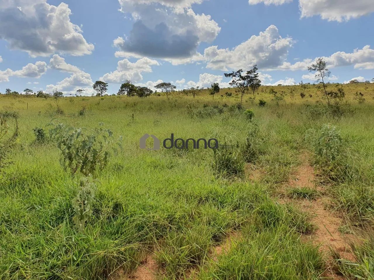 Fazenda à venda, Centro - Coromandel/MG - Foto 4