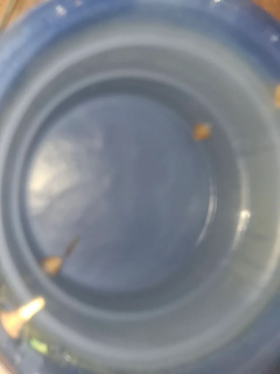 Limpeza de caixa dagua  - Foto 4