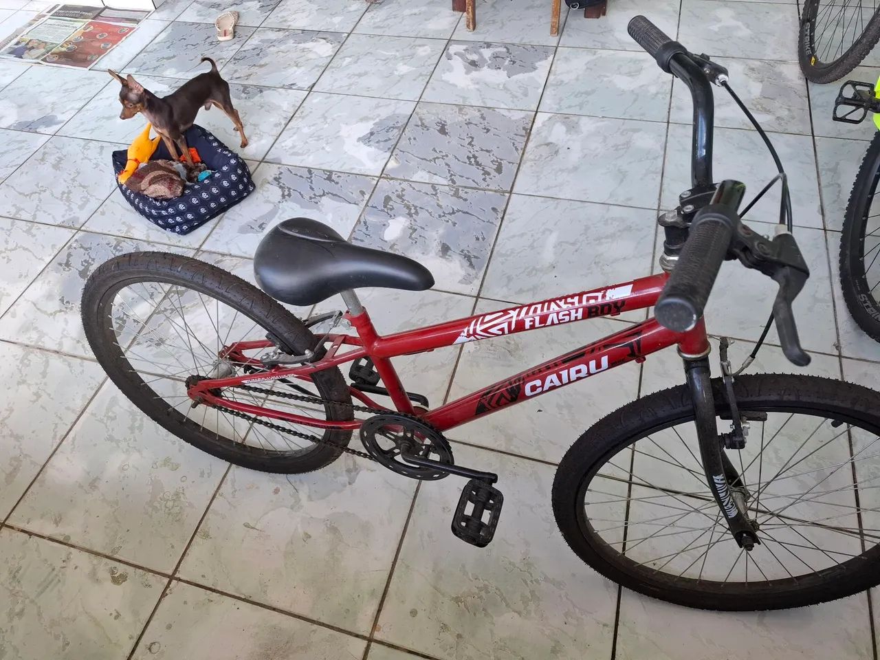 Bicicleta Cairu Aro 24