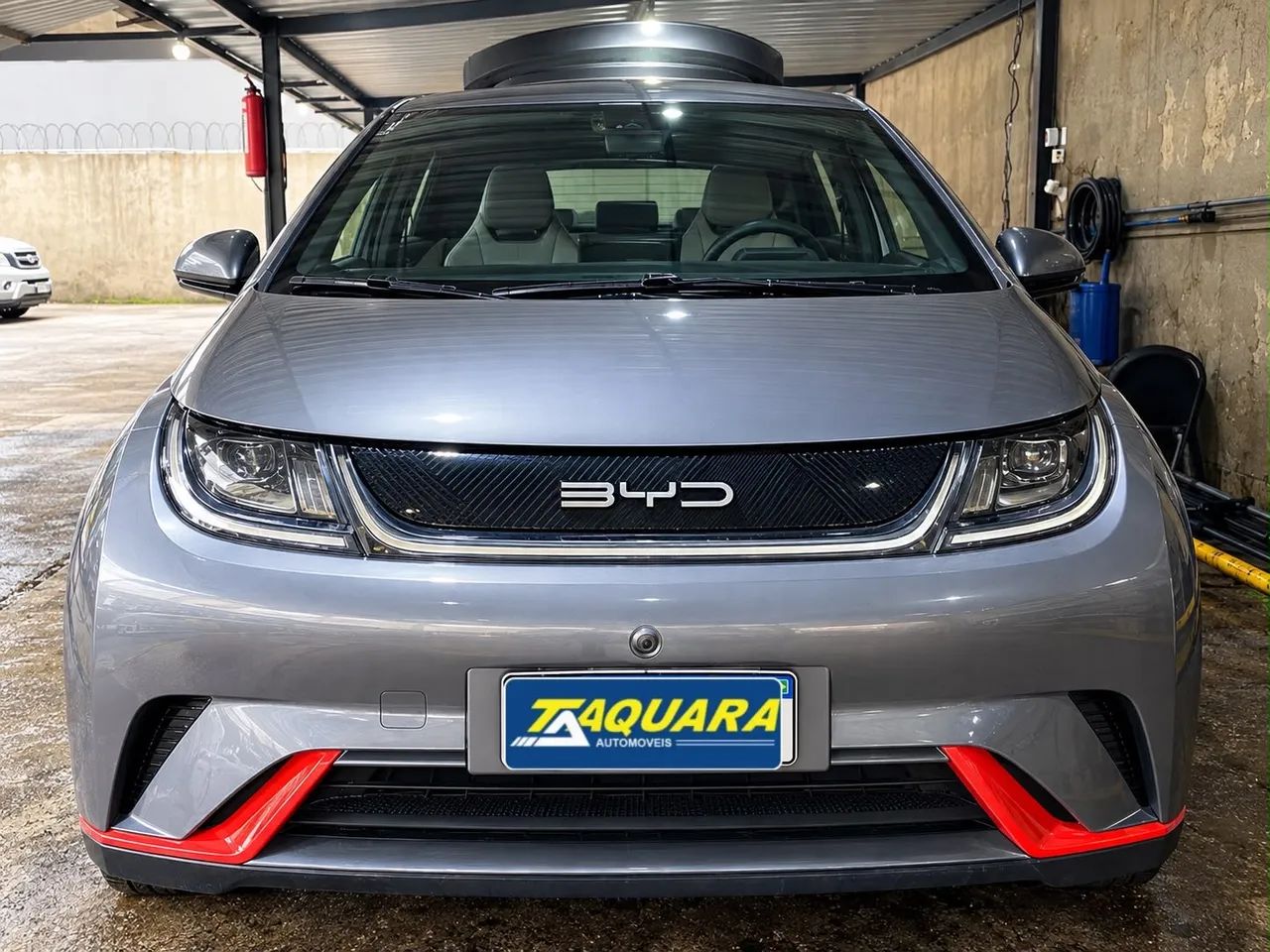 BYD Dolphin EV (Elétrico) 2024 - Foto 3